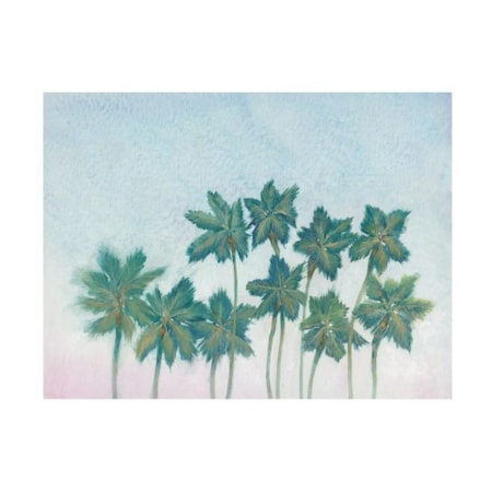 Tim OToole 'Palm Tree Line I' Canvas Art,24x32